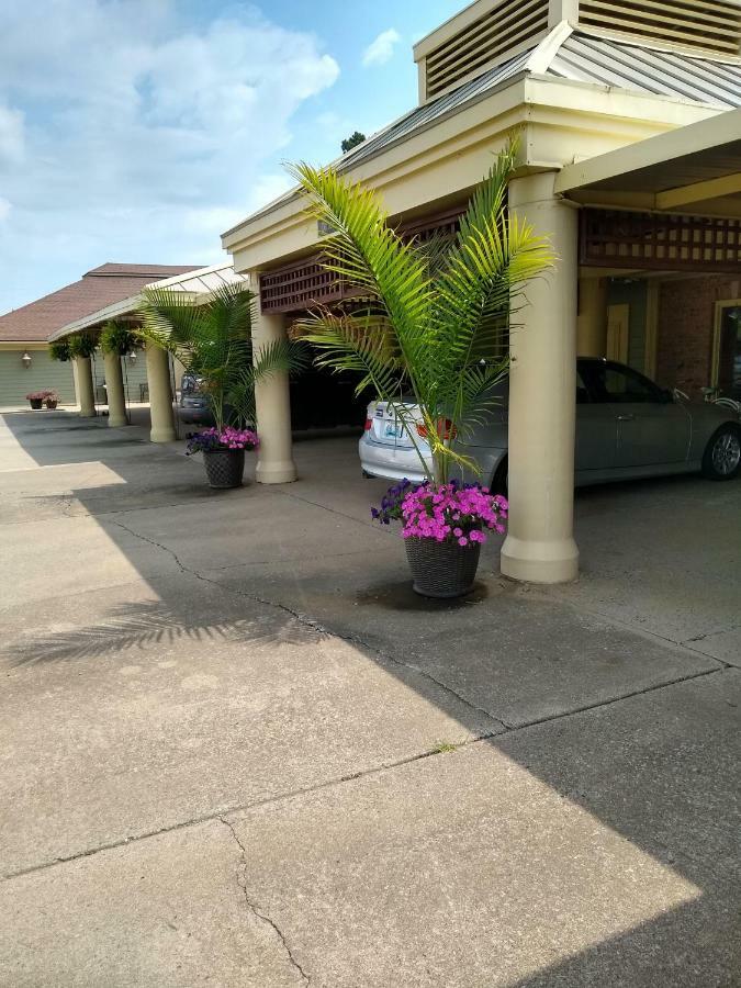 Southern Comfort Suites Mayfield Extérieur photo