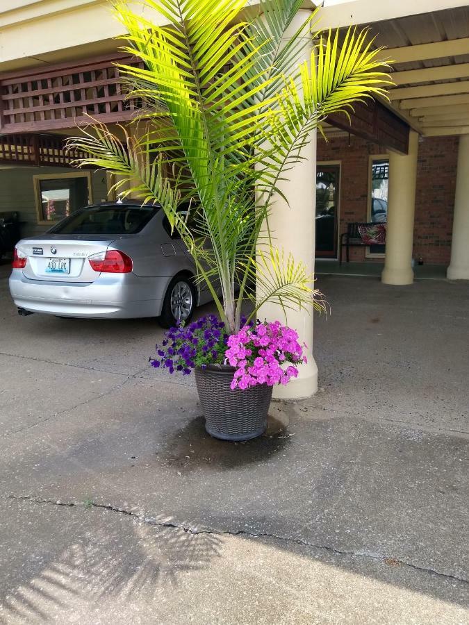 Southern Comfort Suites Mayfield Extérieur photo